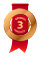 Awards Bronze Medal Icon